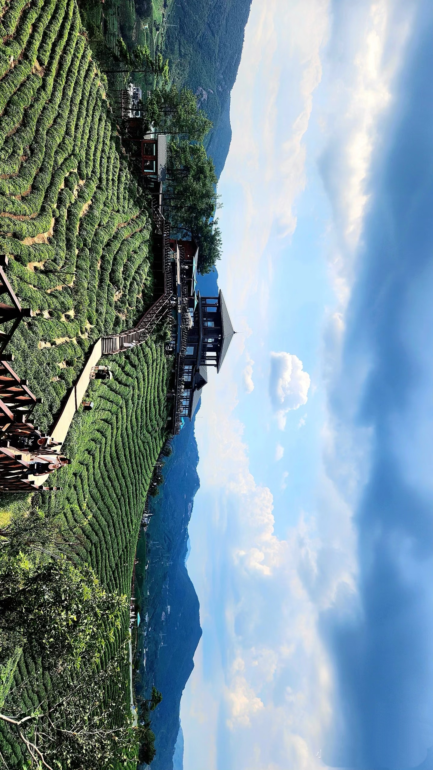中原粮仓